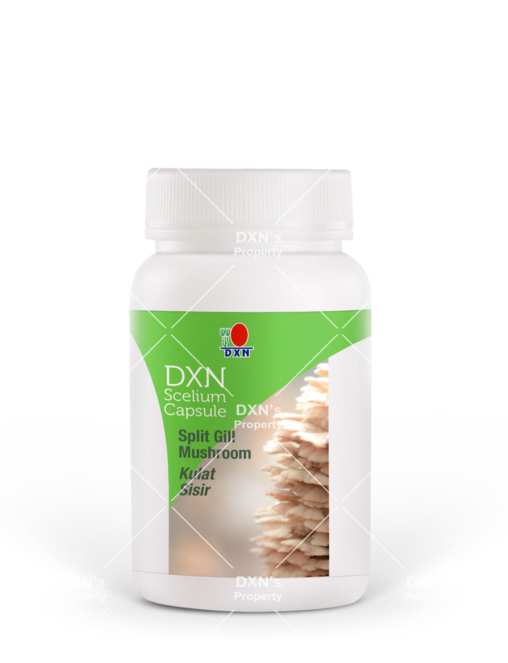 DXN Shiitake Mushroom Powder